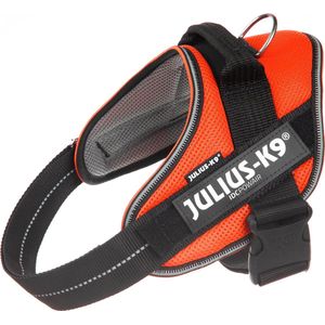 Julius-K9 IDC®Powair-tuig, M - maat 0, oranje