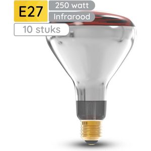 Technik E27 Infraroodlamp Dimbaar 250W - Half Infrarood Lamp R125 - 10 stuks