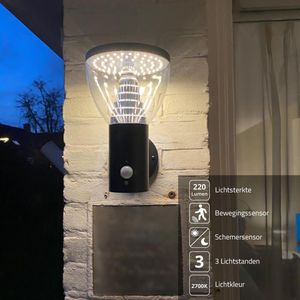 Solar wandlamp buiten 'Spiez' - Buitenlamp met sensor - Tuinverlichting met sensor - Met bewegingssensor - RVS - Tuinverlichting op zonne-energie - Zwart