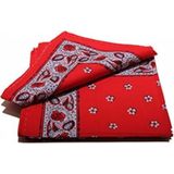 Boeren zakdoek rood Kleine Bloem 55 x 55 cm - HRBZ02