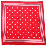 Boeren zakdoek rood stippel 55 x 55 cm - HRBZ018