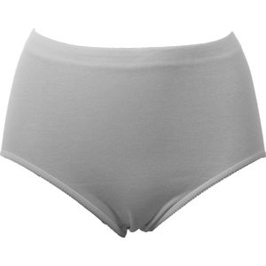 Entex - Dames Taille Slip - Wit - Elastisch Katoenen Ondergoed