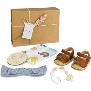 Baby Schoenen Meisje - Kraamcadeau meisje - Baby Cadeau - Geboorte Cadeau - Babyshower geschenkset
