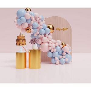 Ballonnenboog (Roze-Blauw)