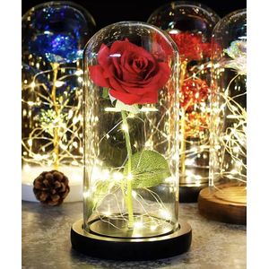 Beauty and the Beast Zijde Roos in Glas Stolp Rose Kunstroos Valentijn - Cadeau voor Vrouw - Vriendin - Mama - Oma - Valentijnsdag - Belle en het Beest - Glazen - Multicolor - 22CM
