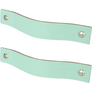 2x Leren handgrepen 'platte greep' - maat M (19 x 2,5 cm) - MINT - incl. 3 kleuren schroefjes (handgreepjes - leren grepen - greepjes - leren lusjes) (handgreepjes - leren grepen - greepjes - leren lusjes)
