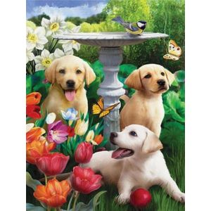 Diamond painting Honden DL4050/133