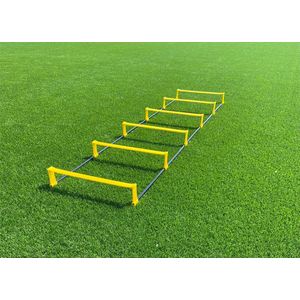 Loopladder met horden - Hordeladder 2 meter - 6 horden van 10 cm hoog - Ciclón Sports