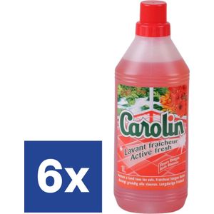 Carolin Rode Bloemen Vloerreiniger - 6 x 1 l