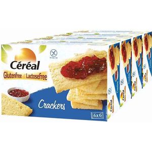 4x Céréal Crackers Glutenvrij En Lactosevrij 250 Gr