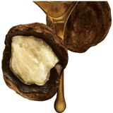 Guhl Fascinerend Bruin - Shampoo 1x 250 ml & Conditioner 1x 200 ml - Pakket