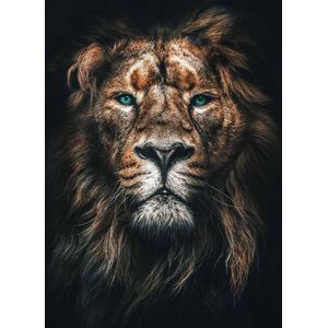 Leeuw op Canvas - WallCatcher | Staand 60 x 90 cm | Lion op Canvasdoek