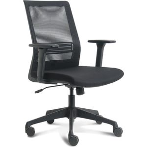 Office Hero® Prince Ergonomische Bureaustoel - Bureaustoelen voor Volwassenen - Gemonteerd geleverd - Zwart