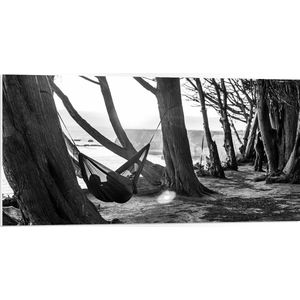 WallClassics - PVC Schuimplaat - Hangmat tussen de Bomen Zwart/Wit - 100x50 cm Foto op PVC Schuimplaat (Met Ophangsysteem)