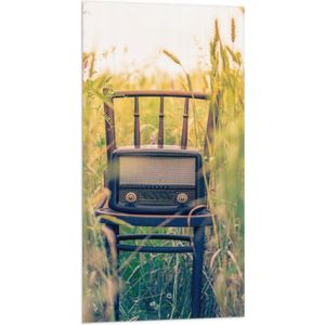WallClassics - Vlag - Ouderwetse Radio op Stoel - 50x100 cm Foto op Polyester Vlag