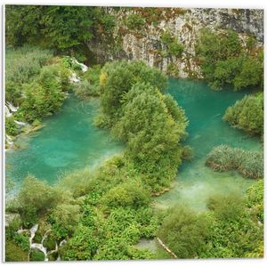 WallClassics - PVC Schuimplaat - Kleine Watervallen tussen Bomen - 50x50 cm Foto op PVC Schuimplaat (Met Ophangsysteem)