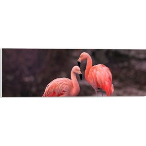 WallClassics - PVC Schuimplaat- Roze Flamingos - 60x20 cm Foto op PVC Schuimplaat