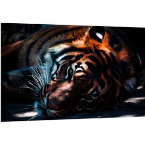 WallClassics - PVC Schuimplaat- Tijger in de Schaduw - 150x100 cm Foto op PVC Schuimplaat