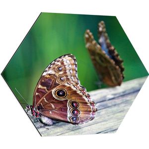 WallClassics - Dibond Hexagon - Bruine Vlinders op een Houte Balk - 80x69.6 cm Foto op Hexagon (Met Ophangsysteem)