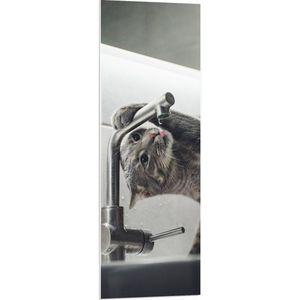 WallClassics - PVC Schuimplaat - Poes aan het Drinken uit de Kraan - 40x120 cm Foto op PVC Schuimplaat (Met Ophangsysteem)