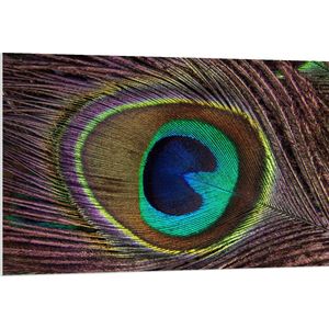 WallClassics - PVC Schuimplaat - Oog op een Pauwen Veer - 120x80 cm Foto op PVC Schuimplaat (Met Ophangsysteem)