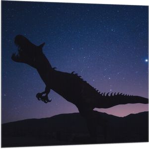 WallClassics - Vlag - Silhouette van een Dinosaurus in de Nacht - 100x100 cm Foto op Polyester Vlag