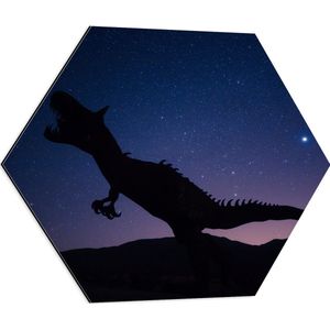 WallClassics - Dibond Hexagon - Silhouette van een Dinosaurus in de Nacht - 60x52.2 cm Foto op Hexagon (Met Ophangsysteem)