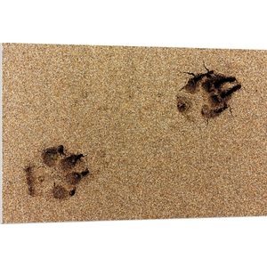 WallClassics - PVC Schuimplaat- Sporen van een Hond in het Zand - 120x80 cm Foto op PVC Schuimplaat