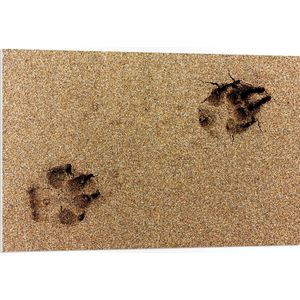 WallClassics - PVC Schuimplaat- Sporen van een Hond in het Zand - 105x70 cm Foto op PVC Schuimplaat