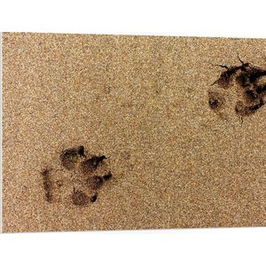 WallClassics - PVC Schuimplaat- Sporen van een Hond in het Zand - 100x75 cm Foto op PVC Schuimplaat