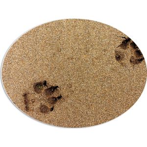 WallClassics - PVC Schuimplaat Ovaal - Sporen van een Hond in het Zand - 68x51 cm Foto op Ovaal  (Met Ophangsysteem)