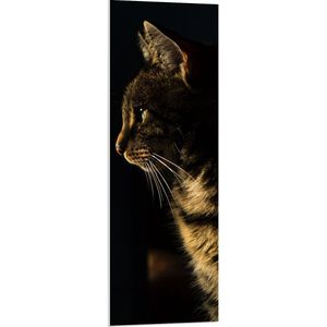 WallClassics - PVC Schuimplaat- Poes in de Nacht - 40x120 cm Foto op PVC Schuimplaat