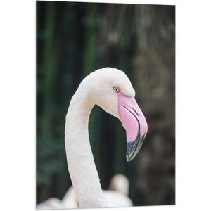 WallClassics - Vlag - Witte Flamingo met Roze Snavel - 60x90 cm Foto op Polyester Vlag