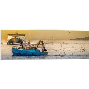 WallClassics - PVC Schuimplaat- Blauwe Vissersboot omringd door Zeemeeuwen - 90x30 cm Foto op PVC Schuimplaat