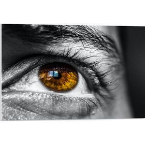 WallClassics - PVC Schuimplaat- Helderbruin Oog op Zwart Witte Man - 75x50 cm Foto op PVC Schuimplaat