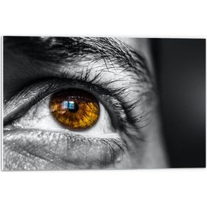 WallClassics - PVC Schuimplaat- Helderbruin Oog op Zwart Witte Man - 60x40 cm Foto op PVC Schuimplaat
