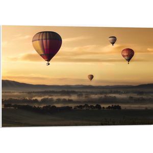 WallClassics - PVC Schuimplaat- Luchtballonen Zwevend boven Open Veld - 75x50 cm Foto op PVC Schuimplaat