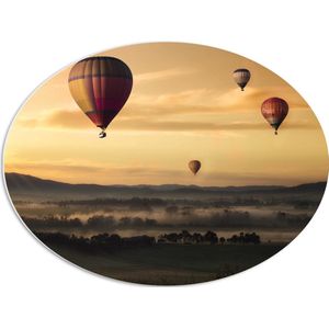 WallClassics - PVC Schuimplaat Ovaal - Luchtballonen Zwevend boven Open Veld - 68x51 cm Foto op Ovaal  (Met Ophangsysteem)