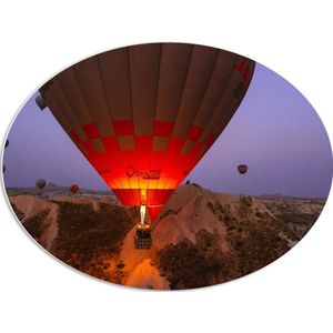 WallClassics - PVC Schuimplaat Ovaal - Luchtballonnen bij Bergen - 80x60 cm Foto op Ovaal  (Met Ophangsysteem)