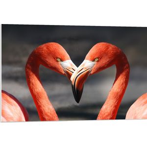 WallClassics - PVC Schuimplaat- Verliefde Flamingo's  - 90x60 cm Foto op PVC Schuimplaat