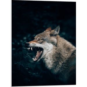 WallClassics - PVC Schuimplaat- Grote Boze Wolf - 60x80 cm Foto op PVC Schuimplaat