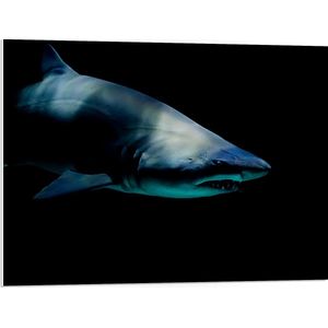 WallClassics - PVC Schuimplaat- Boze Haai in het Donker - 80x60 cm Foto op PVC Schuimplaat