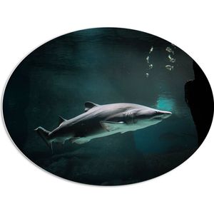 WallClassics - PVC Schuimplaat Ovaal - Boze Haai onder Water - 96x72 cm Foto op Ovaal  (Met Ophangsysteem)