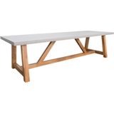 BUITEN living Veltis dining tuintafel | betonlook  hardhout | 300x100cm