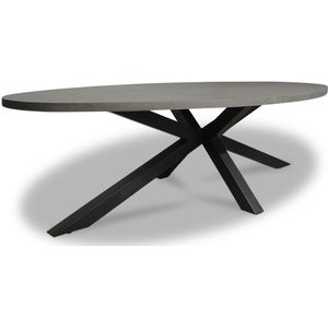 BUITEN living Stockholm dining tuintafel | betonlook + staal | ovaal | 280x130cm | 6 personen