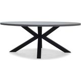 BUITEN living Stockholm dining tuintafel | betonlook  staal | ovaal | 200x110cm