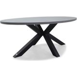 BUITEN living Stockholm dining tuintafel | betonlook  staal | ovaal | 200x110cm