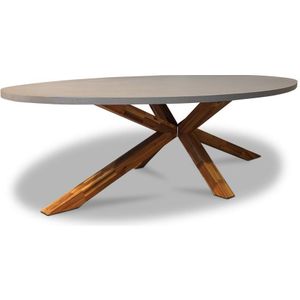 BUITEN living Livorno dining tuintafel | betonlook + hardhout | ovaal | 280x130cm | 6 personen