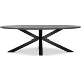 BUITEN living Stockholm dining tuintafel | betonlook  staal | ovaal | 240x120cm