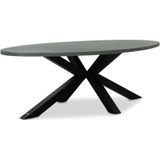 BUITEN living Stockholm dining tuintafel | betonlook  staal | ovaal | 240x120cm